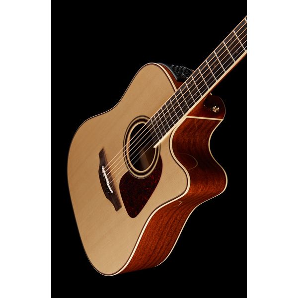 Takamine P4DC w/Softcase