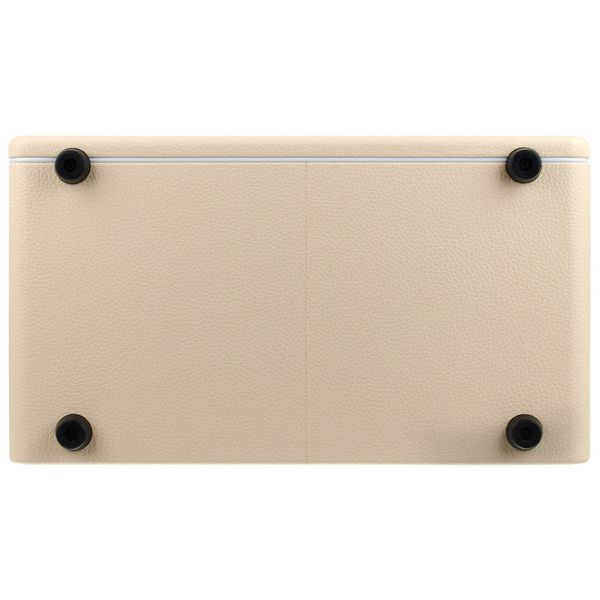 Mooer Hornet 30i Modeling Amp White