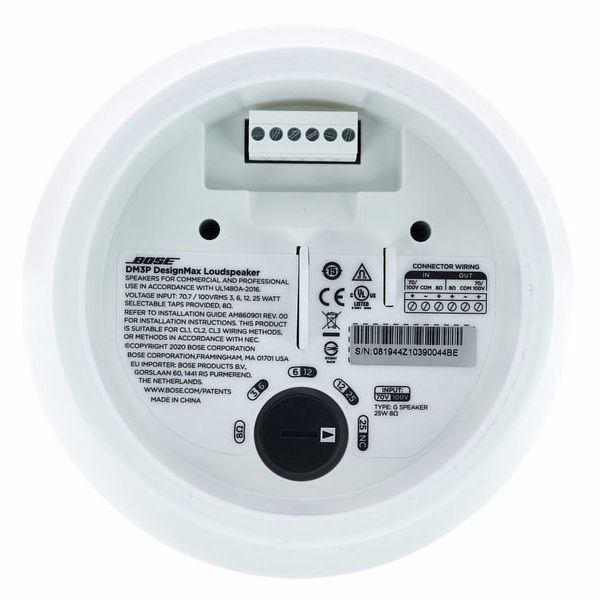 Bose Professional DesignMax DM3P white