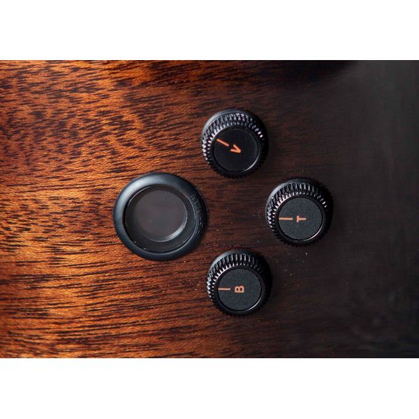 Breedlove Wildwood Pro Concert Suede CE