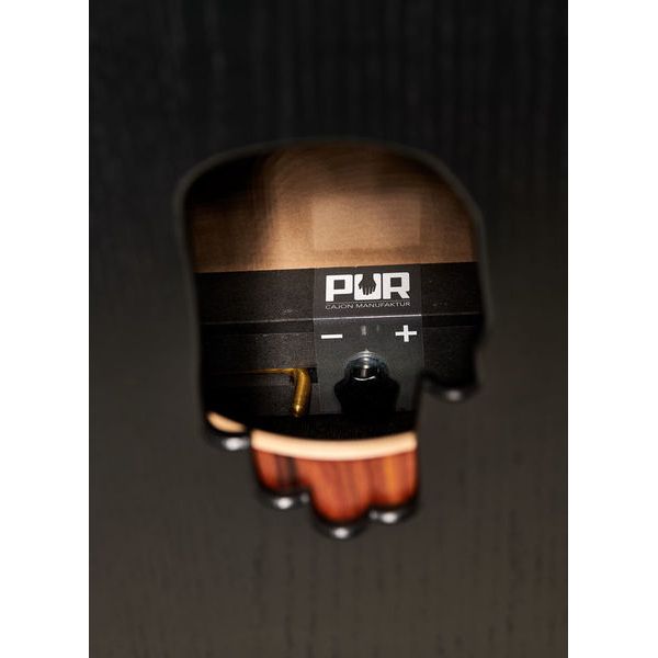 PUR Vision Pro Black Palisander