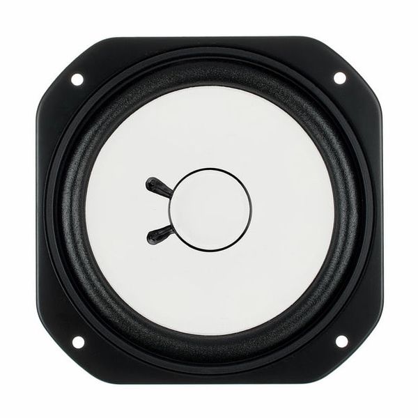 Avantone AV-10 Woofer