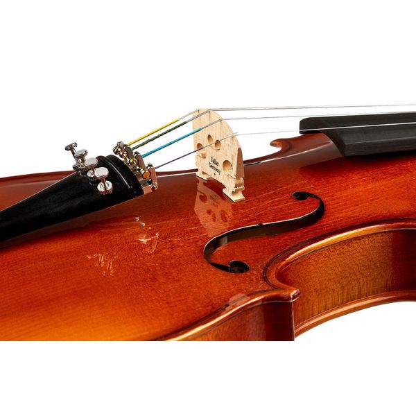 Roth & Junius Europe Student Violin Set 4/4