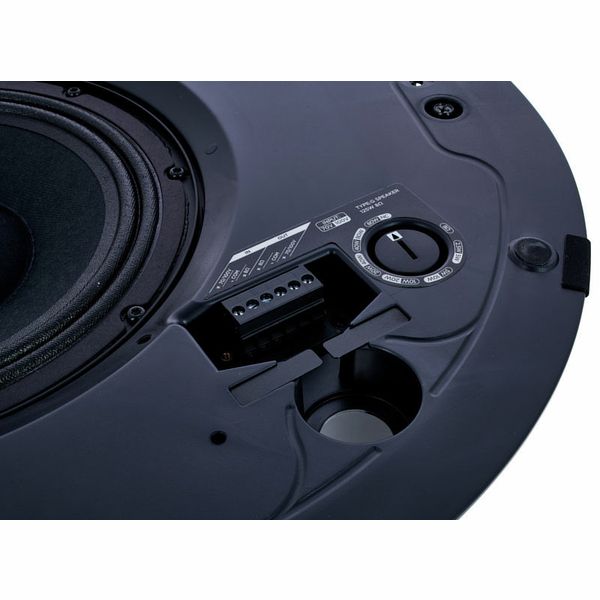 Bose Professional DesignMax DM8C black