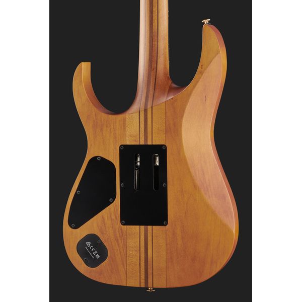 Ibanez RGT1220PB-ABS