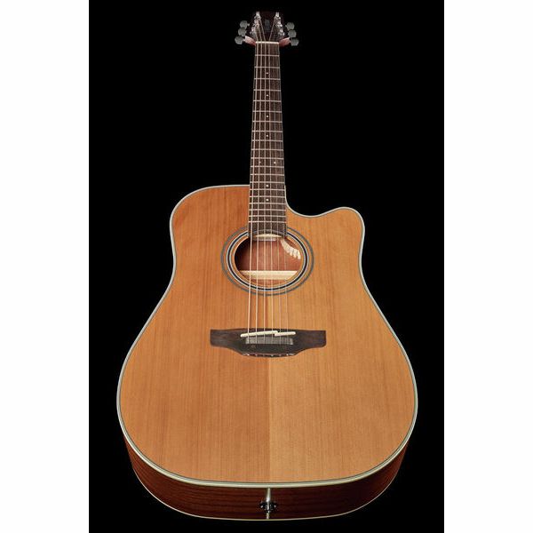 Takamine GD20CE-N