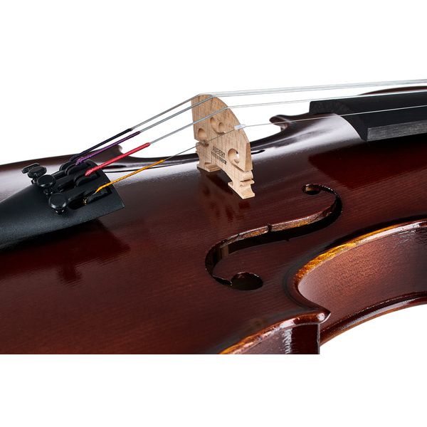 Roth & Junius RJV-S Student Violin Set 4/4