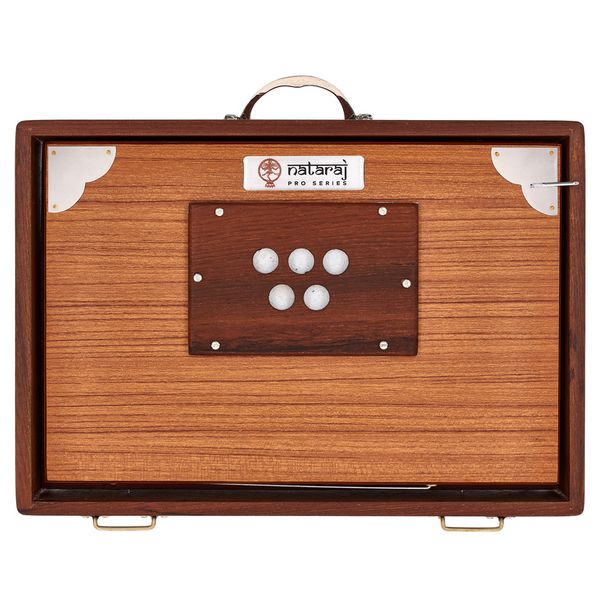 Thomann Nataraj Prof. Shruti C-C Small