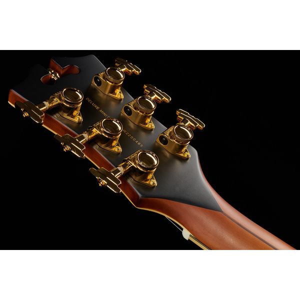 DAngelico Deluxe Mini DC Satin Brown Bur