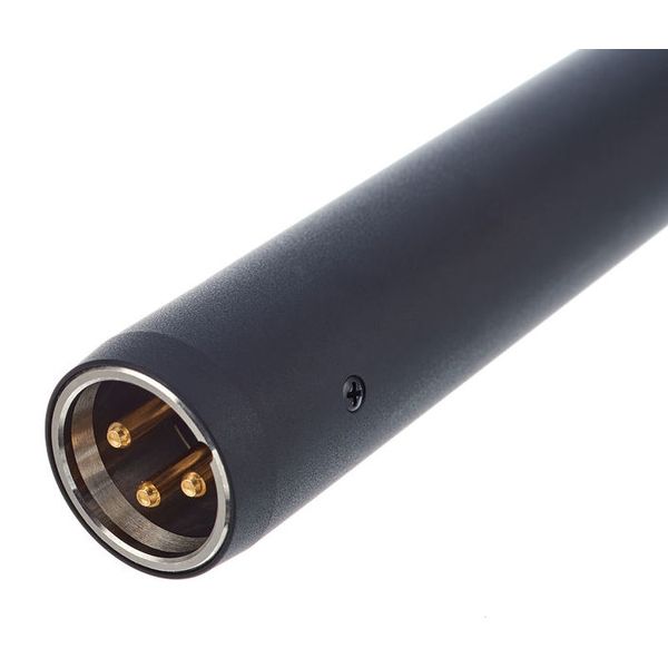 Audio-Technica AT 4021