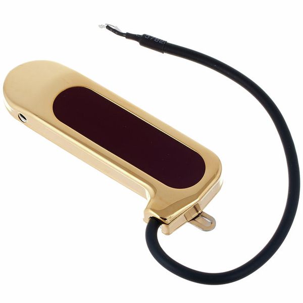 DeArmond Rhythm Chief 1000 GD