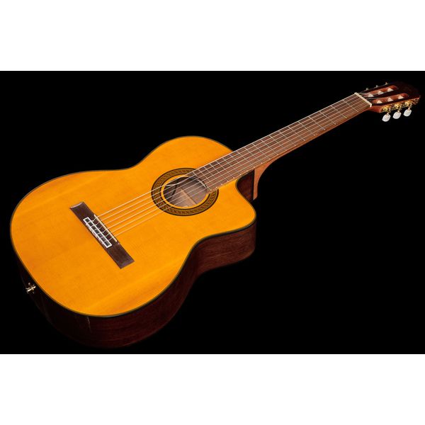 Takamine GC5CE Natural w/Bag