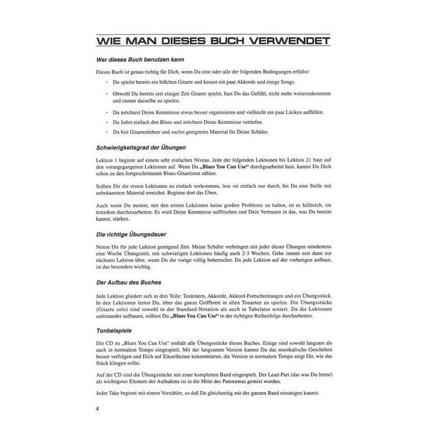 Voggenreiter Blues You Can Use