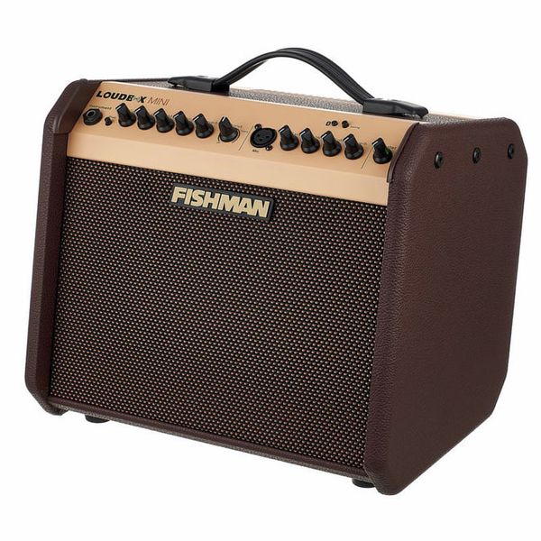Fishman Loudbox Mini with Bluet Bundle