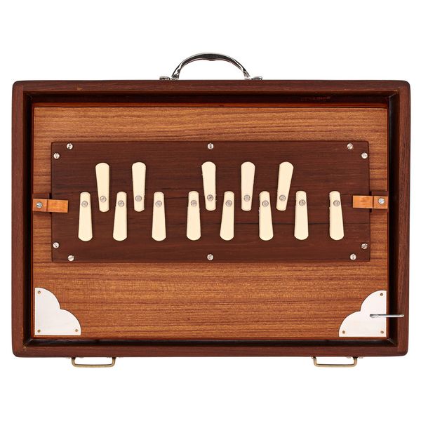 Thomann Nataraj Prof. Shruti C-C Small