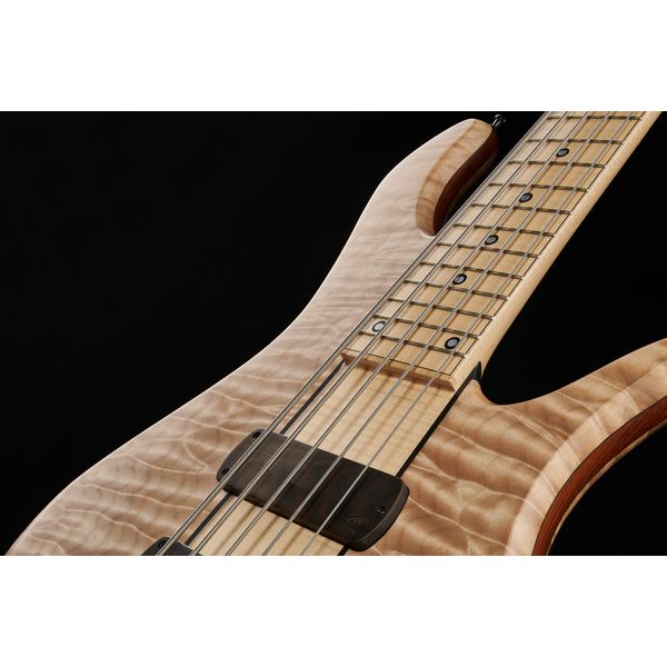 Torillo Volta 5 Quilted Maple