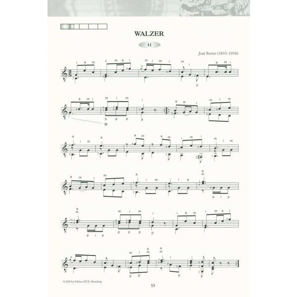 Edition Dux Saitenwege Der sehr leichte