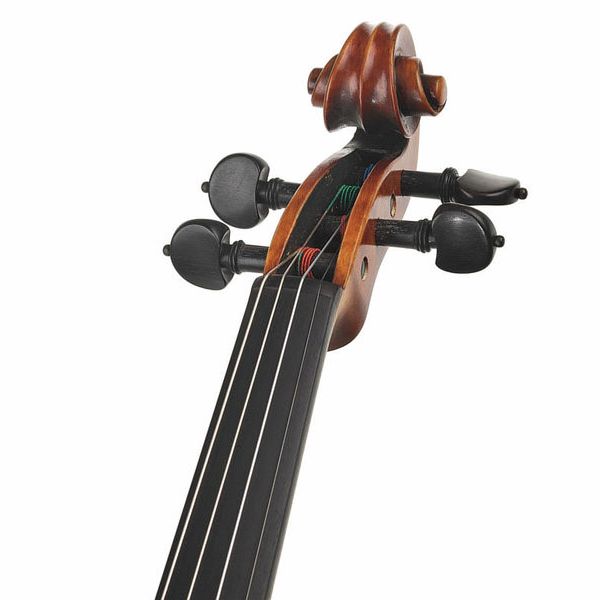 Karl Höfner H225-TB-V Tommaso Balestieri