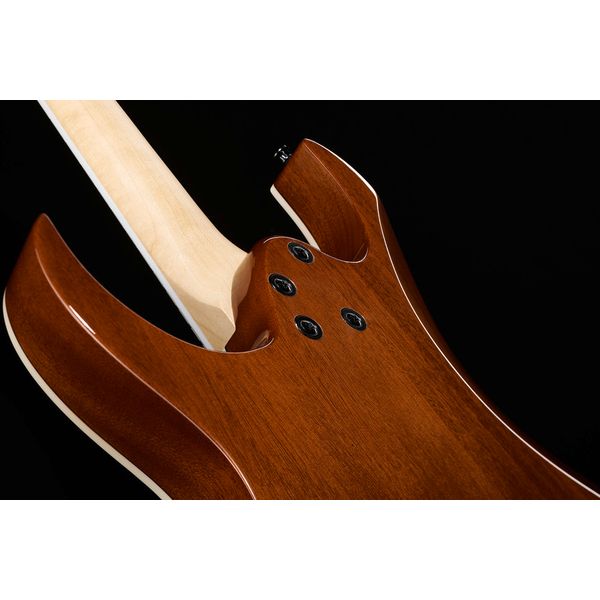 Ibanez GRGR221PA-AQB