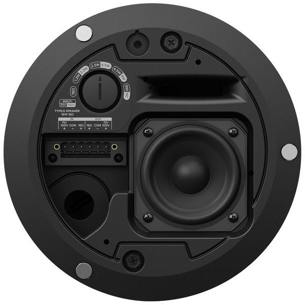 Bose Professional DesignMax DM2C-LP black