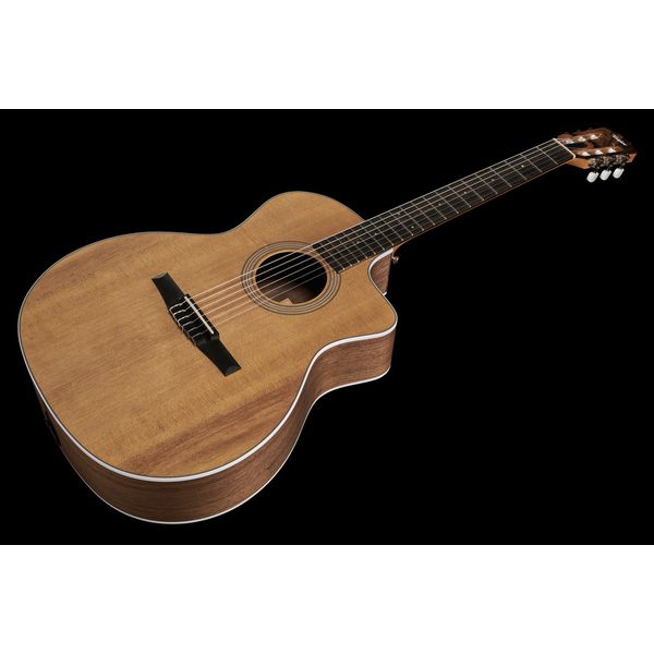 Taylor 214ce-N Spruce/Walnut