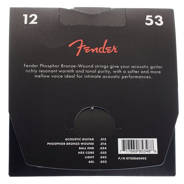 Fender 60L