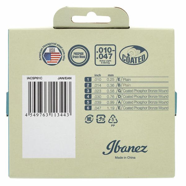 Ibanez IACSP61C Acoustic Steel