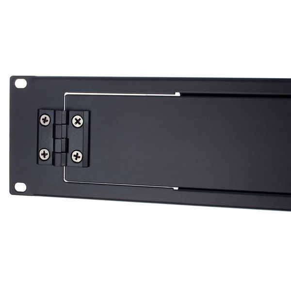 Millenium Rackdoor 2U