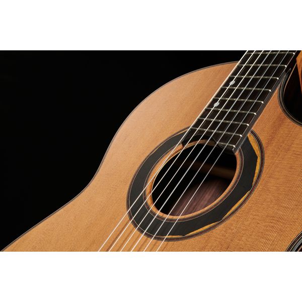 Hanika Fusion PC w/Pickup