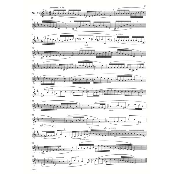 Carl Fischer Melodious Etudes for Horn