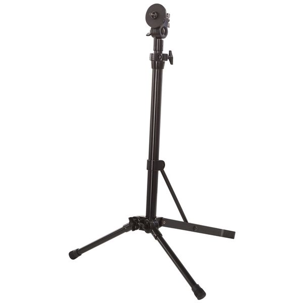 NS Design CR5 Upright Bass Amber