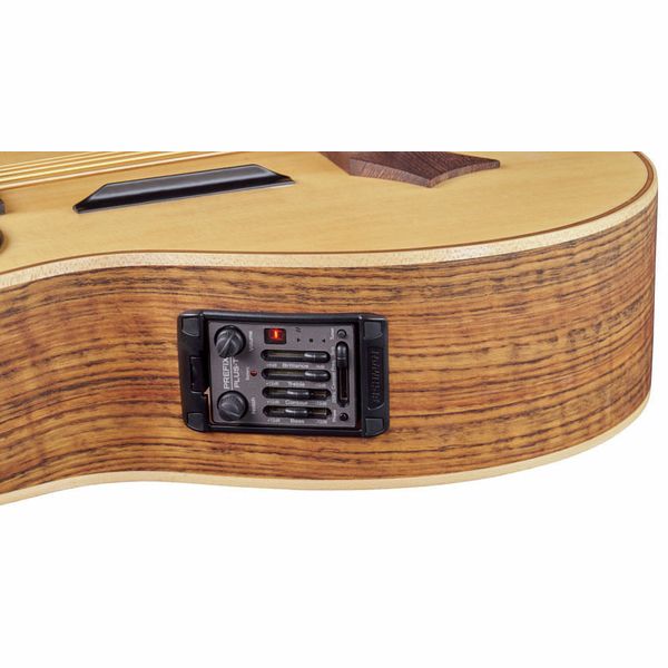 Warwick Alien 5 NT FL