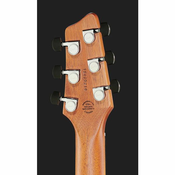 Godin XTSA Lightburst Flame