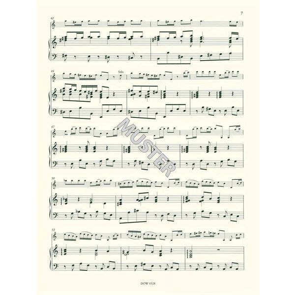 Dowani Vivaldi Concertino Op. 3 No. 6