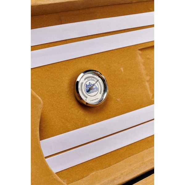 Roth & Junius RJVC Concert-02 Violin Case