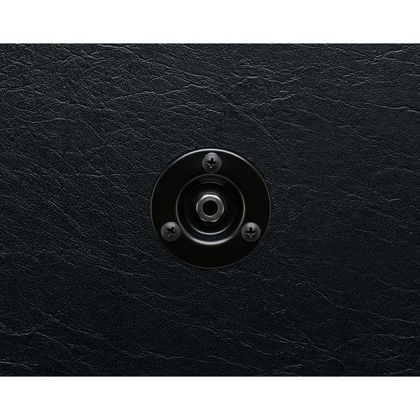 Bad Cat Hot Cat 2x12 Cab