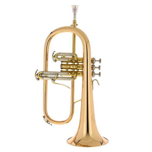 B&S 3145G-L Challenger I