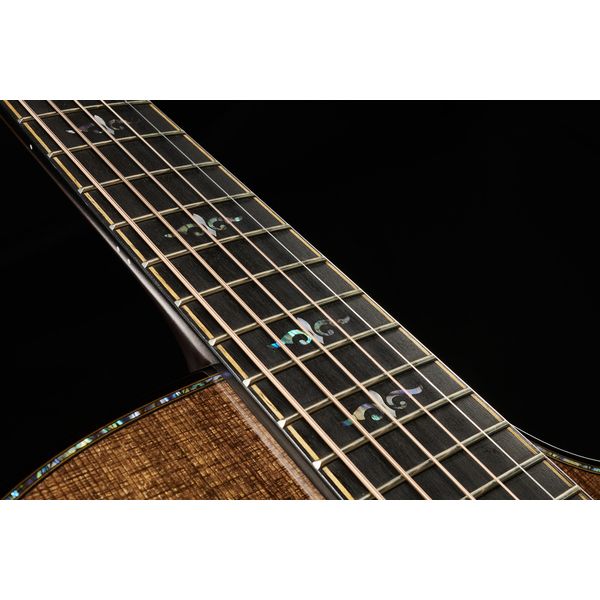 Taylor Builders Edition 912ce Sinker