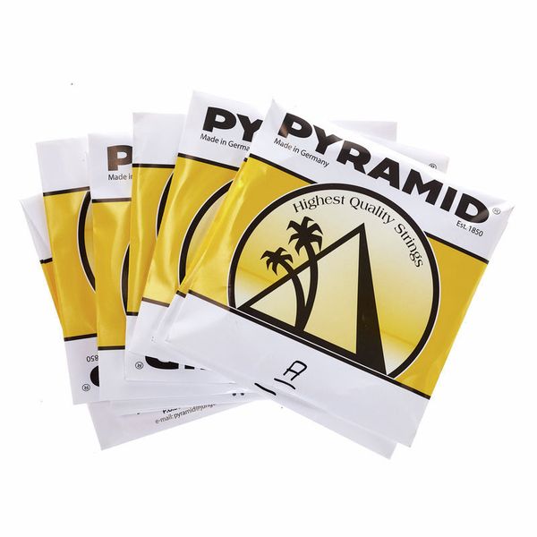 Pyramid 10 String Classical Guitar Set