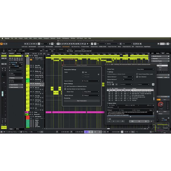 Steinberg Nuendo 14 Competetive CG