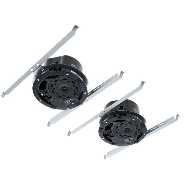 Bose Professional DesignMax DM5C black