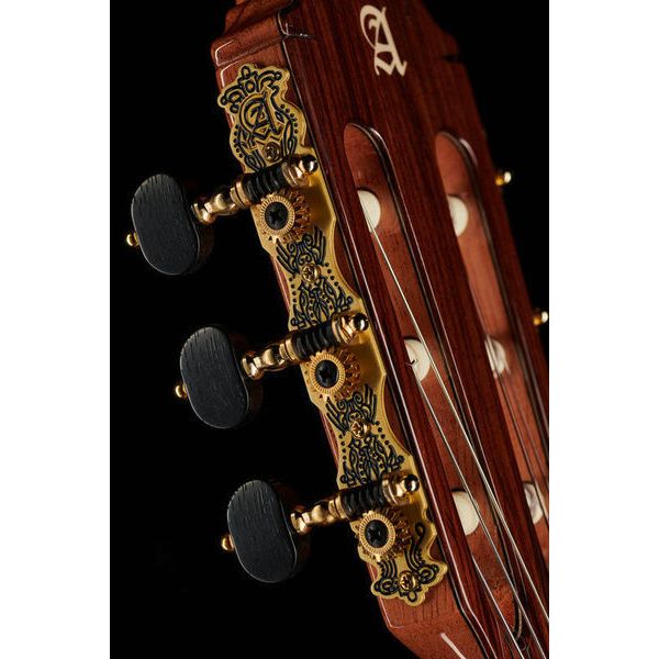 Alhambra 10 Fc Flamenco incl. Case