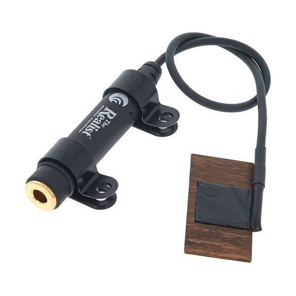 David Gage The Realist Bass Naturalist