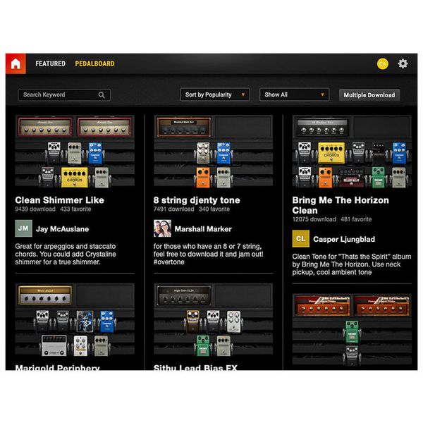 Positive Grid BIAS Elite Combo