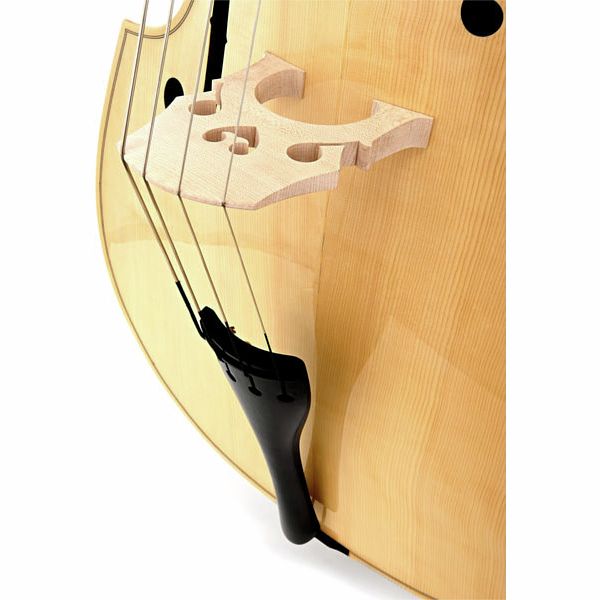 Thomann 22 4/4 NA Europe Double Bass