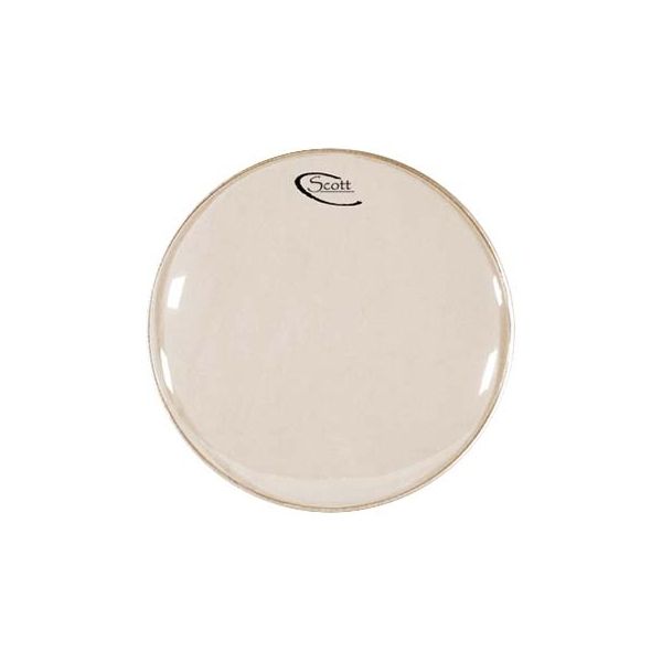 Scott 10" Banjo Head White