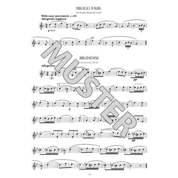 Music Sales 100 Classical Themes Flute