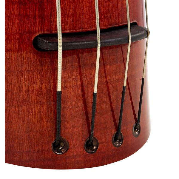 NS Design WAV4c Bass Amberburst