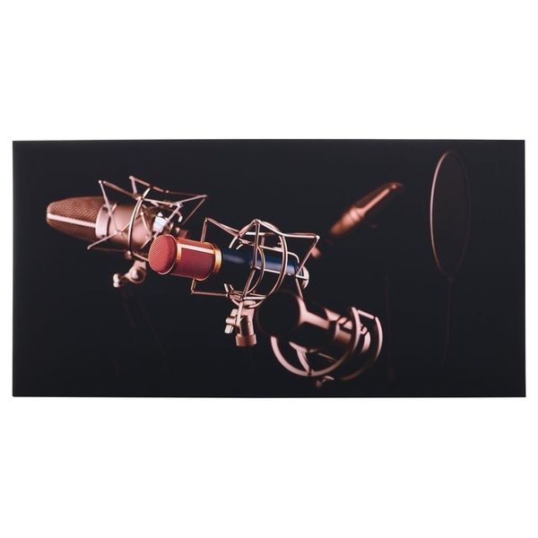 t.akustik Print Panel Mic Check