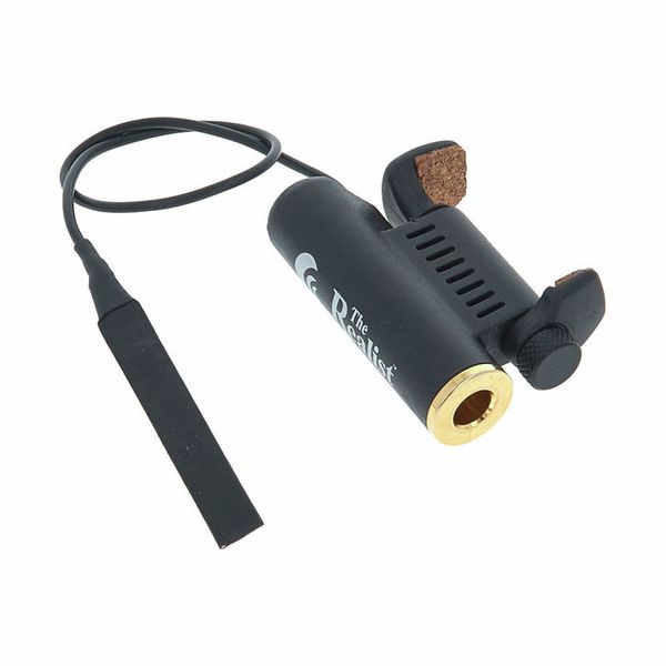 David Gage The Realist Violin